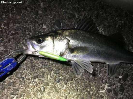 �����Х�