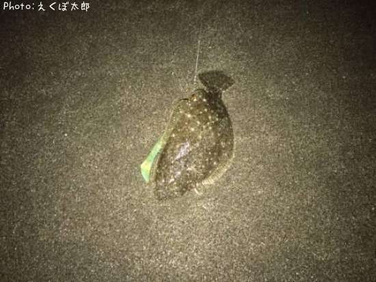 �ҥ��ʥ�����