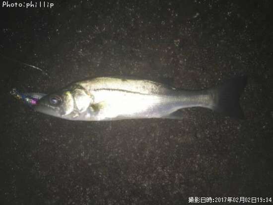 �����Х�