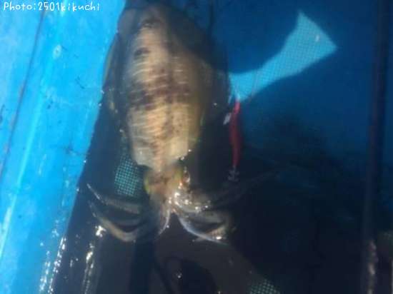 �����ꥤ��