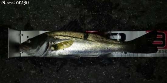 �����Х�