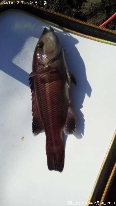 ���֥����λ�