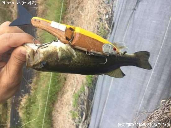 �֥�å��Х�