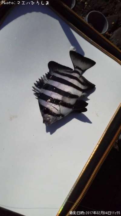 ���������λ�