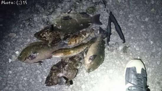 �����������ʥᡢ����ݡ��᥸��