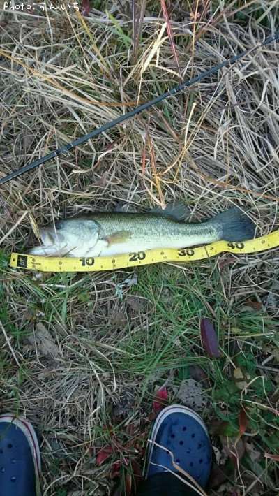 �֥�å��Х�