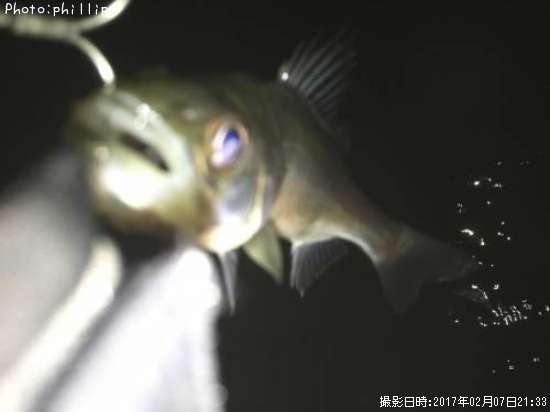 �����Х�