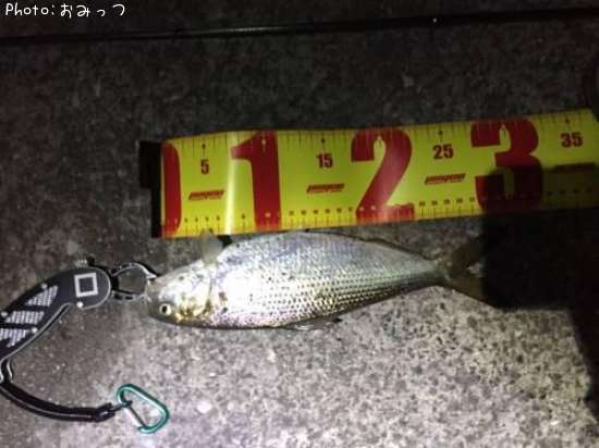 ���Υ���