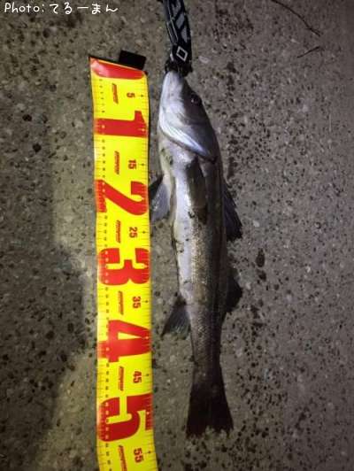 �����Х�