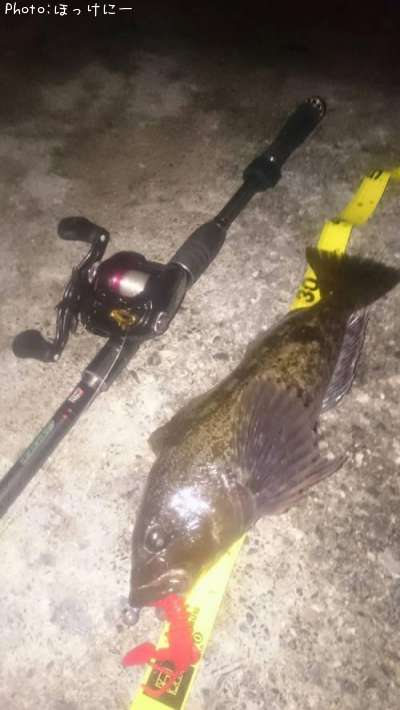 �����ʥ�