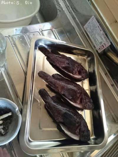 ��饽��