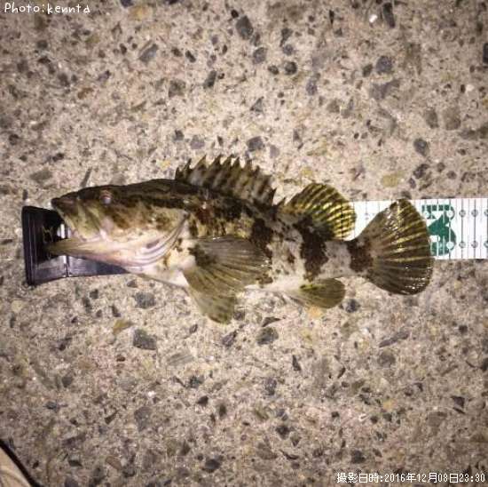 �����Υ���Х�