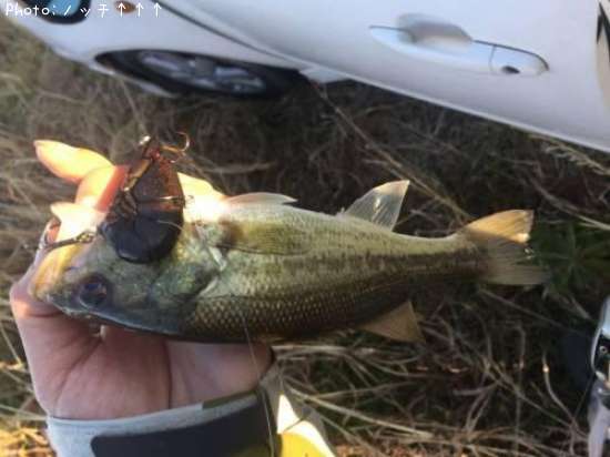 �֥�å��Х�