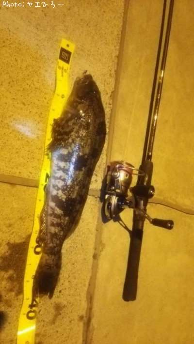 �����ʥ�