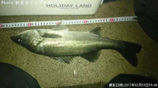 �����Х�