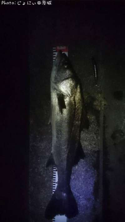 �����Х�