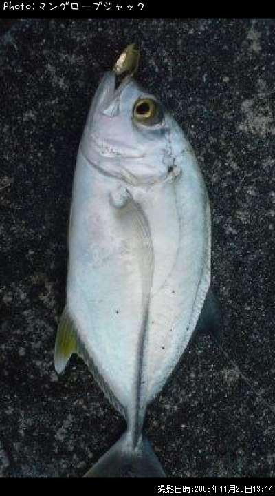 ��å�
