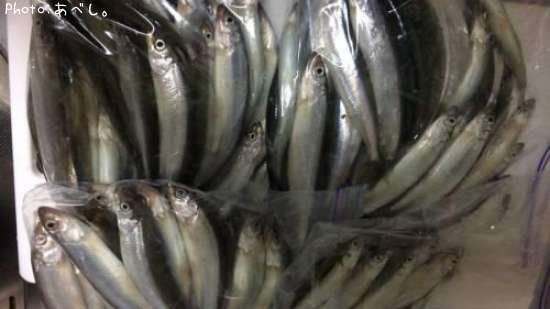 �ǥ�����