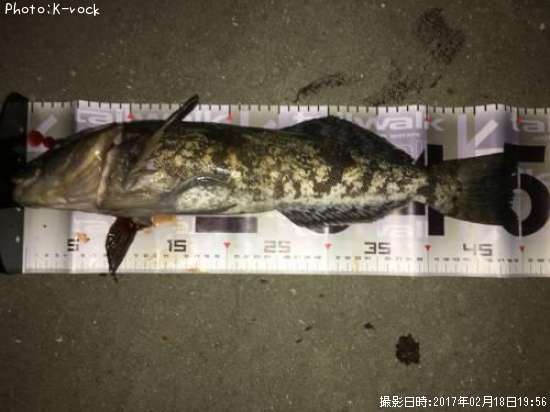 �����ʥ�