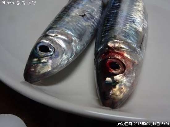 ��ޥȥߥ����ڥ�ޥȥߥ����