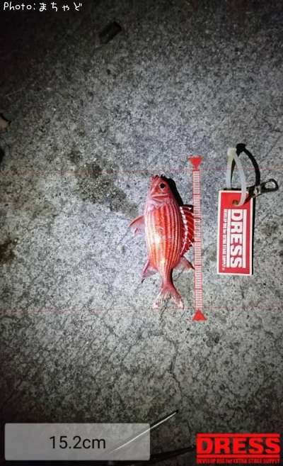 ��������ڥ���ᥨ�ӥ���