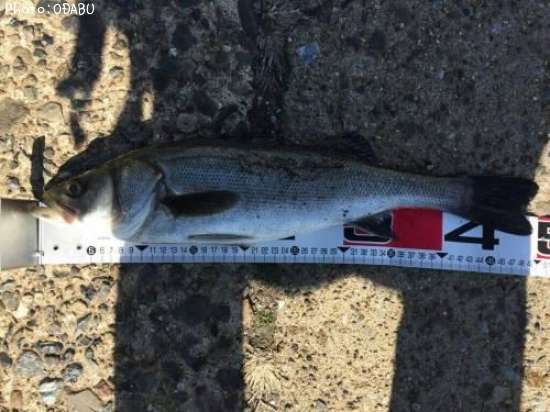 �����Х�