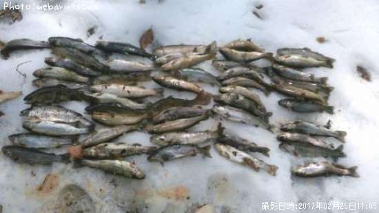 ���˥��ޥ��ʸ���������