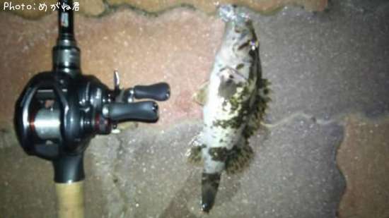 �����Υ���Х�