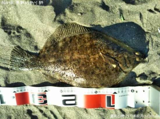 �ޥ����쥤