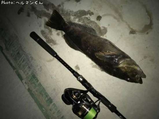 �����ʥ�