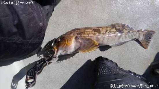 �����ʥ�