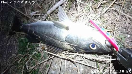 �����Х�