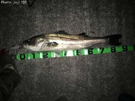 �����Х�