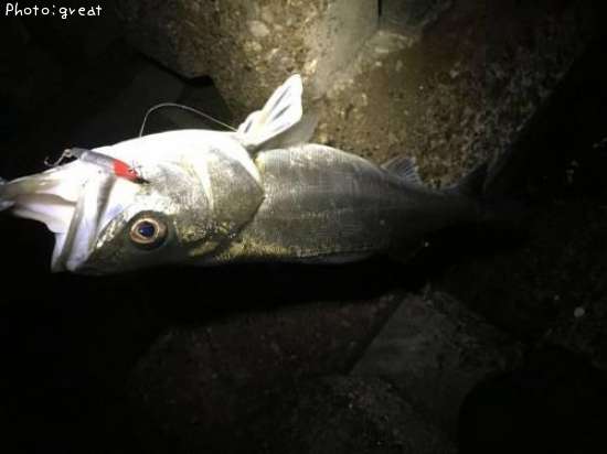 �����Х�