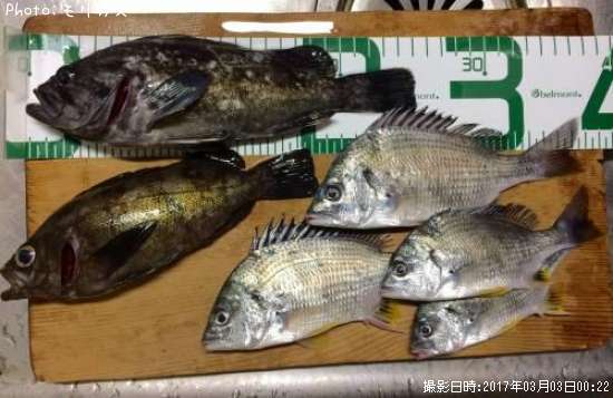 ������������Х롢���ӥ�ʤ�