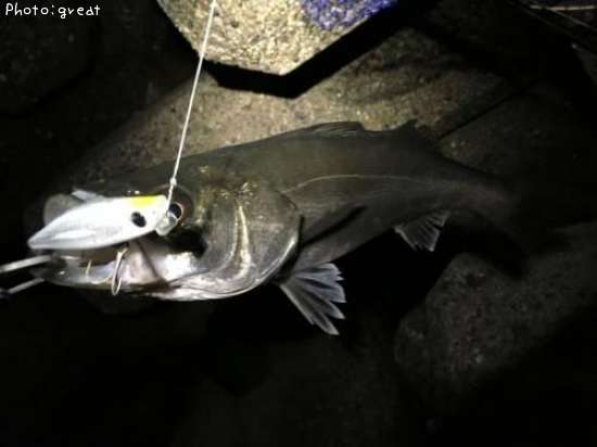 �����Х�