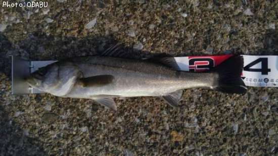 �����Х�