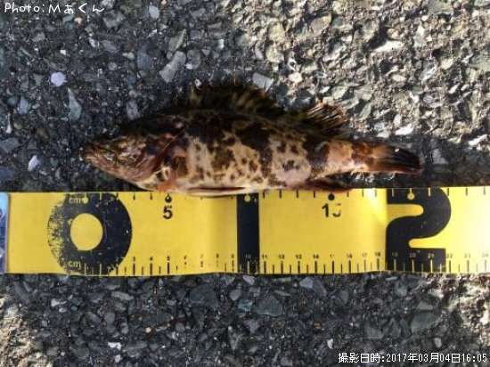 �����Υ���Х�