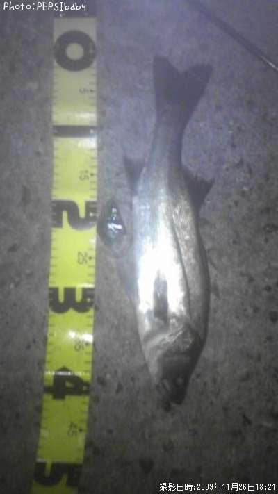 �����Х�