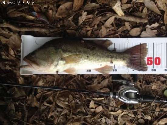 �֥�å��Х�