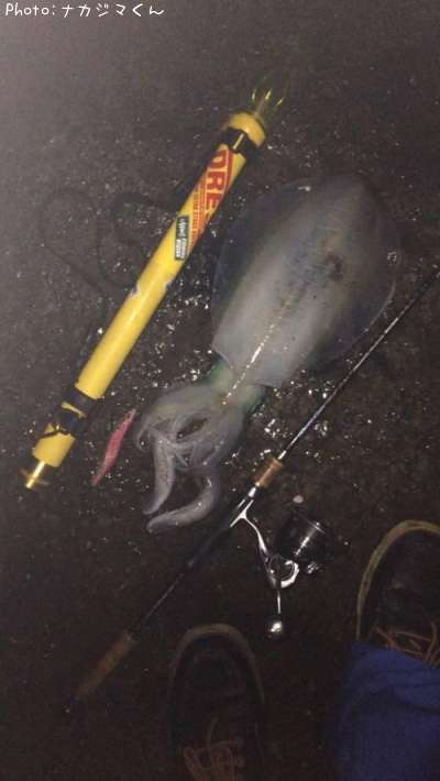 �����ꥤ��