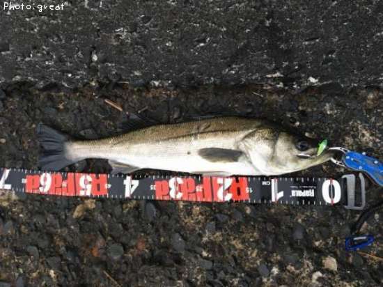 �����Х�