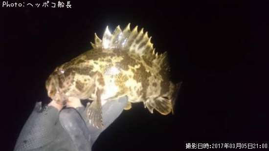 �����Υ���Х�