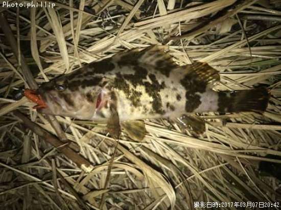 �����Υ���Х�