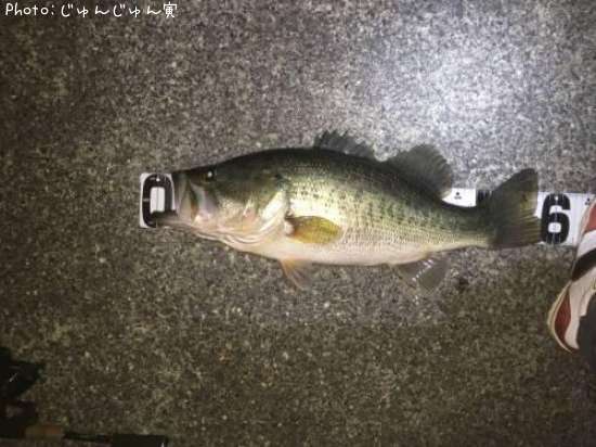 �֥�å��Х�