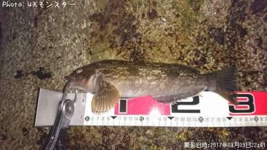 �����ʥ�