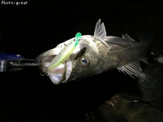 �����Х�