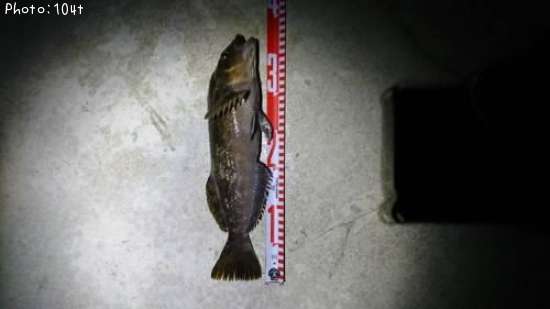 �����ʥ�