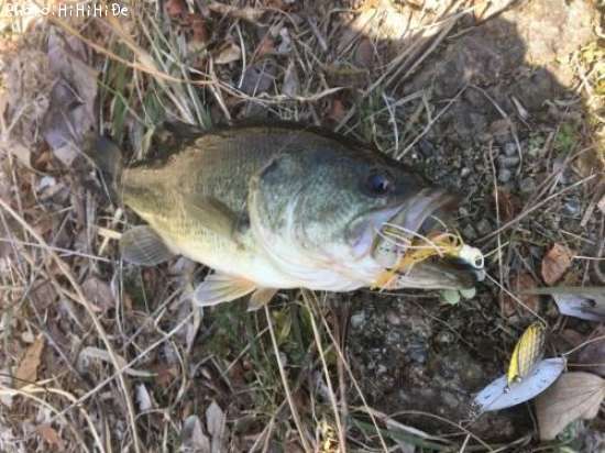 �֥�å��Х�