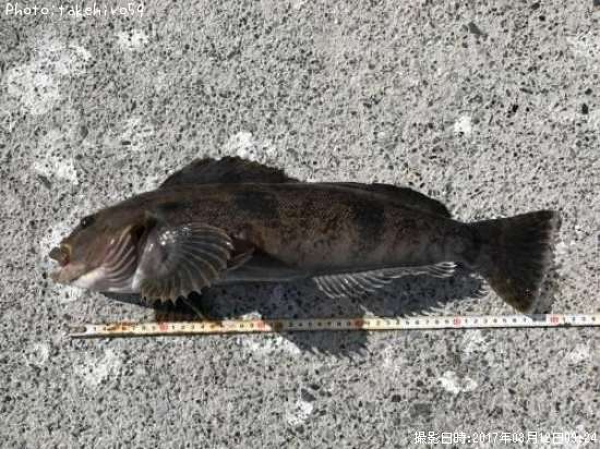 �����ʥ�